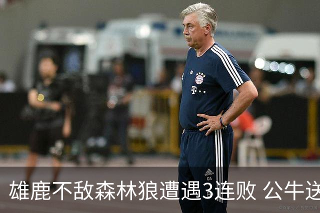 雄鹿不敌森林狼遭遇3连败 公牛送灰熊7连败